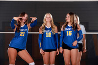 Team, Buddy & Fun Shots