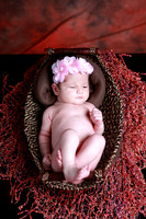 baby shoot