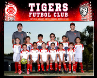 tigers 8u and 10u