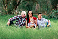 Jacob and Family
