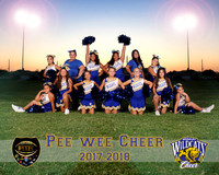 Pee Wee Cheer || Nancy Group