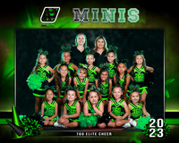 Cheer Minis