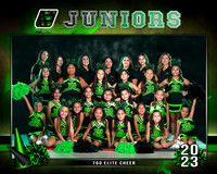 Cheer Juniors