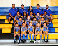 Wildcats Gold