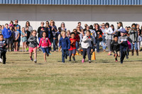 Turkey Trot 2016