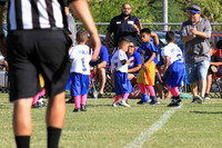 cubs blue vs cubs white