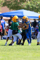 08.10.2024 Scrimmage 10u,  12u, 13u